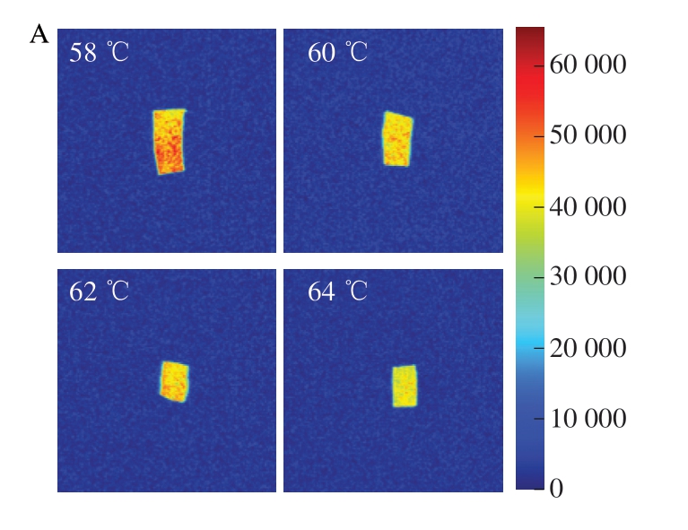 pagenumber_ebook=51,pagenumber_book=29