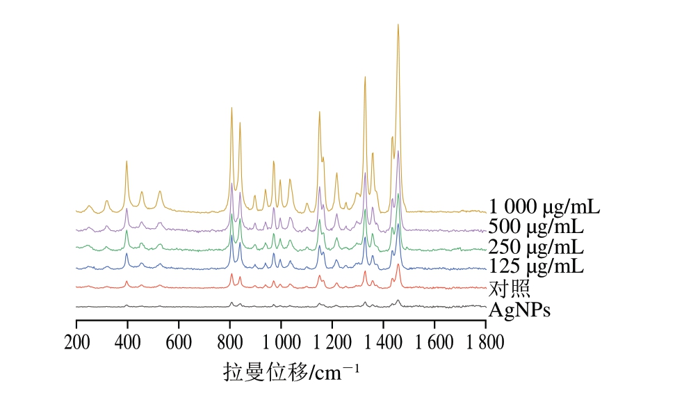 pagenumber_ebook=54,pagenumber_book=32