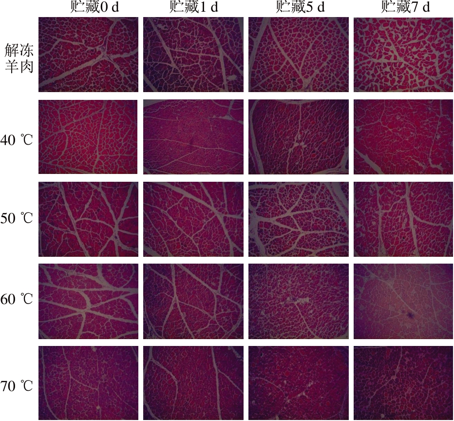 pagenumber_ebook=34,pagenumber_book=12