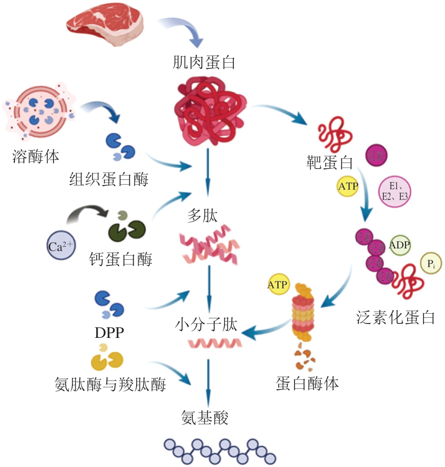 pagenumber_ebook=98,pagenumber_book=76