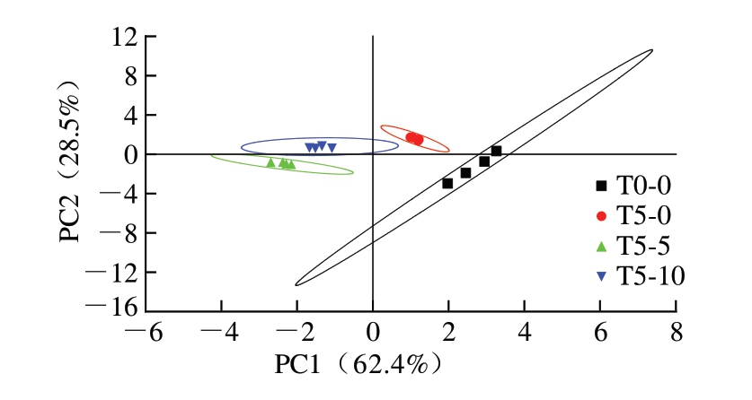 pagenumber_ebook=35,pagenumber_book=13