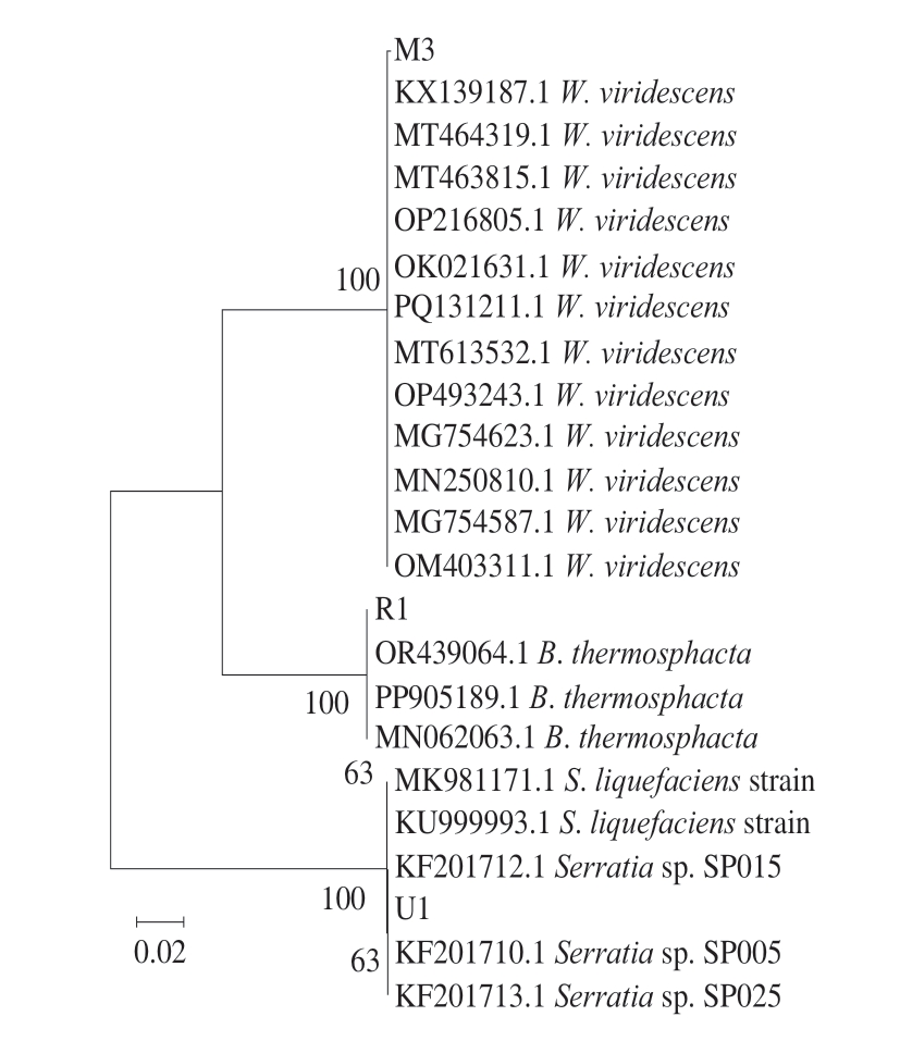 pagenumber_ebook=57,pagenumber_book=35