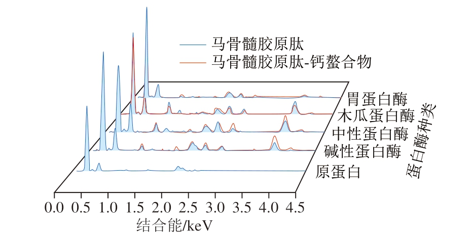 pagenumber_ebook=43,pagenumber_book=21