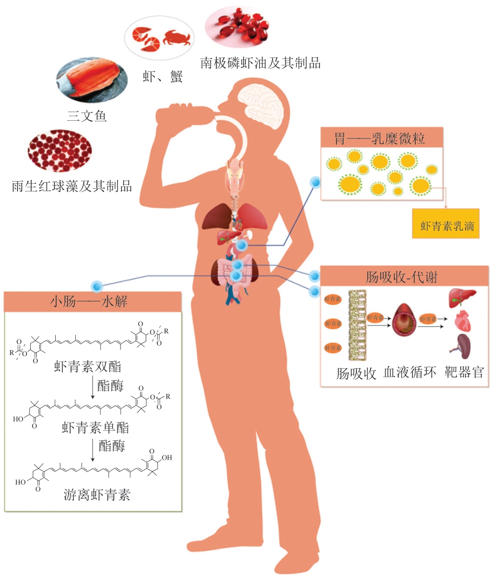 pagenumber_ebook=96,pagenumber_book=74