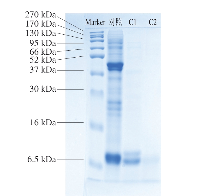 pagenumber_ebook=38,pagenumber_book=16
