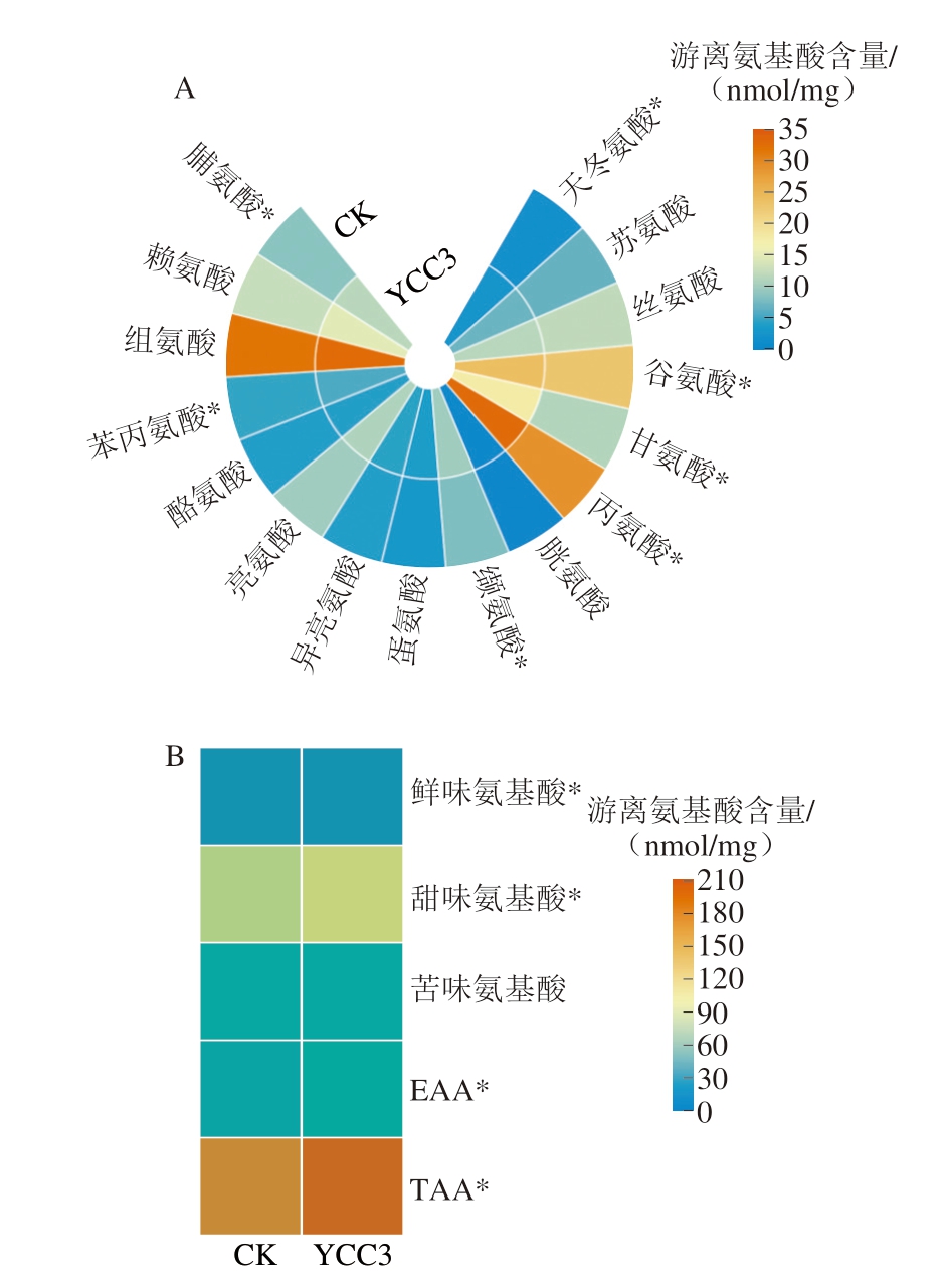 pagenumber_ebook=63,pagenumber_book=41