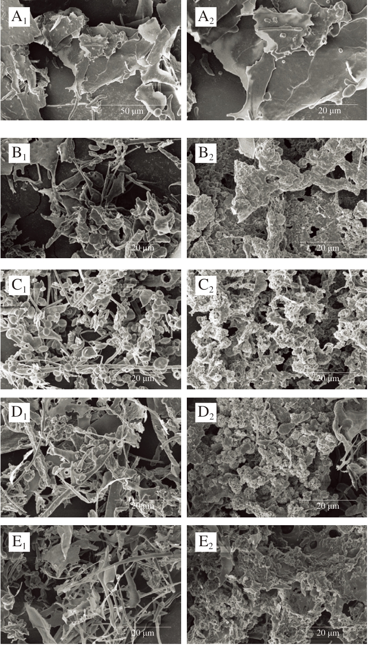 pagenumber_ebook=43,pagenumber_book=21