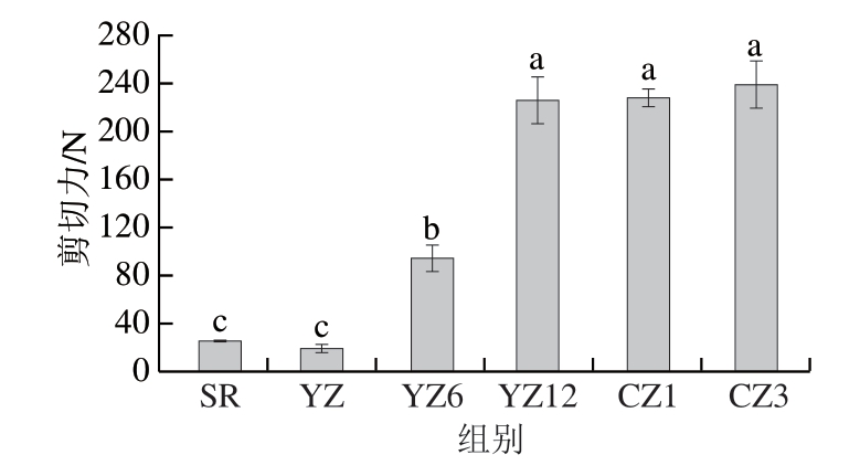 pagenumber_ebook=100,pagenumber_book=78