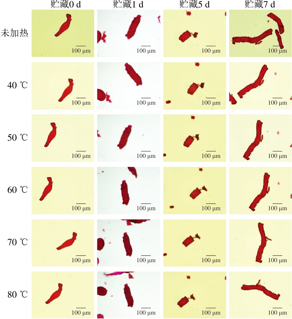 pagenumber_ebook=32,pagenumber_book=10