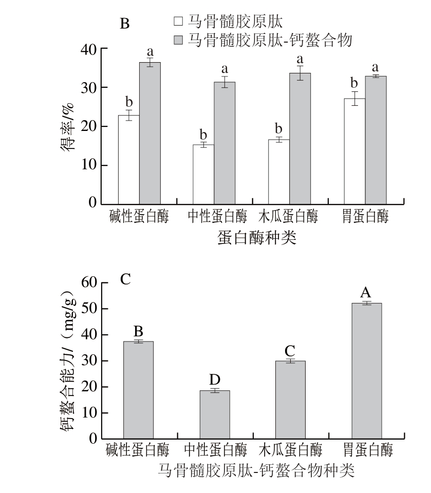 pagenumber_ebook=41,pagenumber_book=19