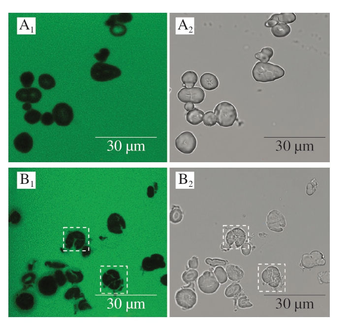 pagenumber_ebook=84,pagenumber_book=62