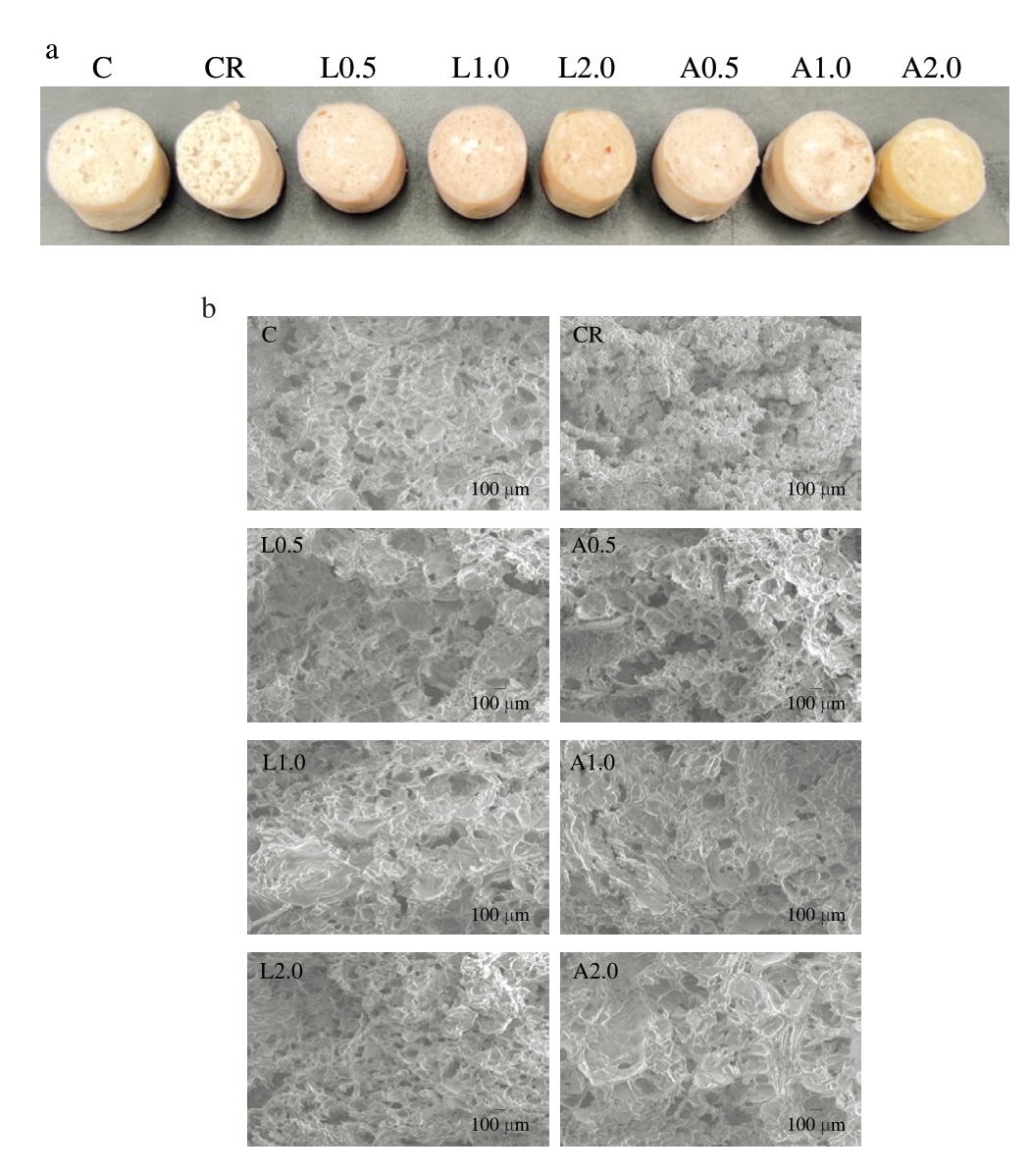 pagenumber_ebook=78,pagenumber_book=56