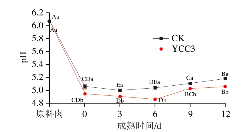 pagenumber_ebook=60,pagenumber_book=38